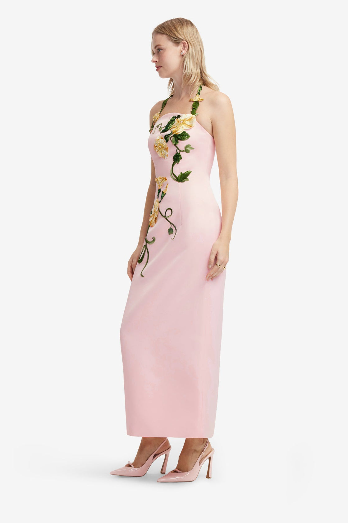 Ava Halterneck Appliqué Floral Bustier Maxi Dress - Vine Print in Pink Dress Maxi