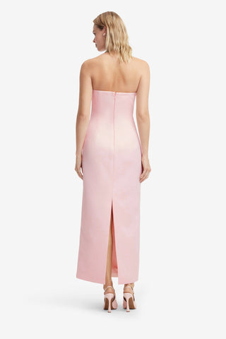 Ava Halterneck Appliqué Floral Bustier Maxi Dress - Vine Print in Pink Dress Maxi