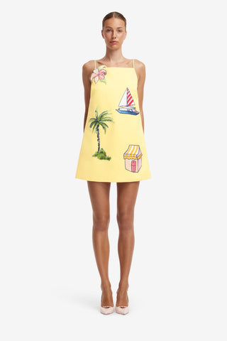 Leia Embroidered Mini Dress - Havana Print Dress Mini
