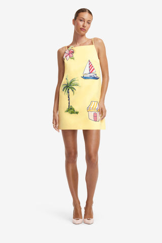 Leia Embroidered Mini Dress - Havana Print Dress Mini