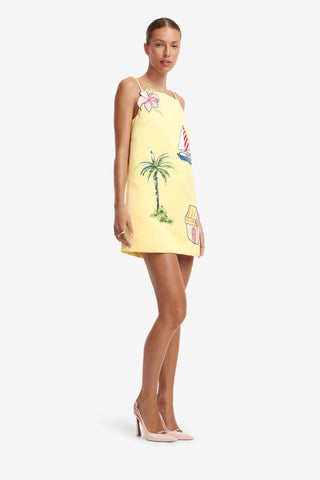 Leia Embroidered Mini Dress - Havana Print Dress Mini