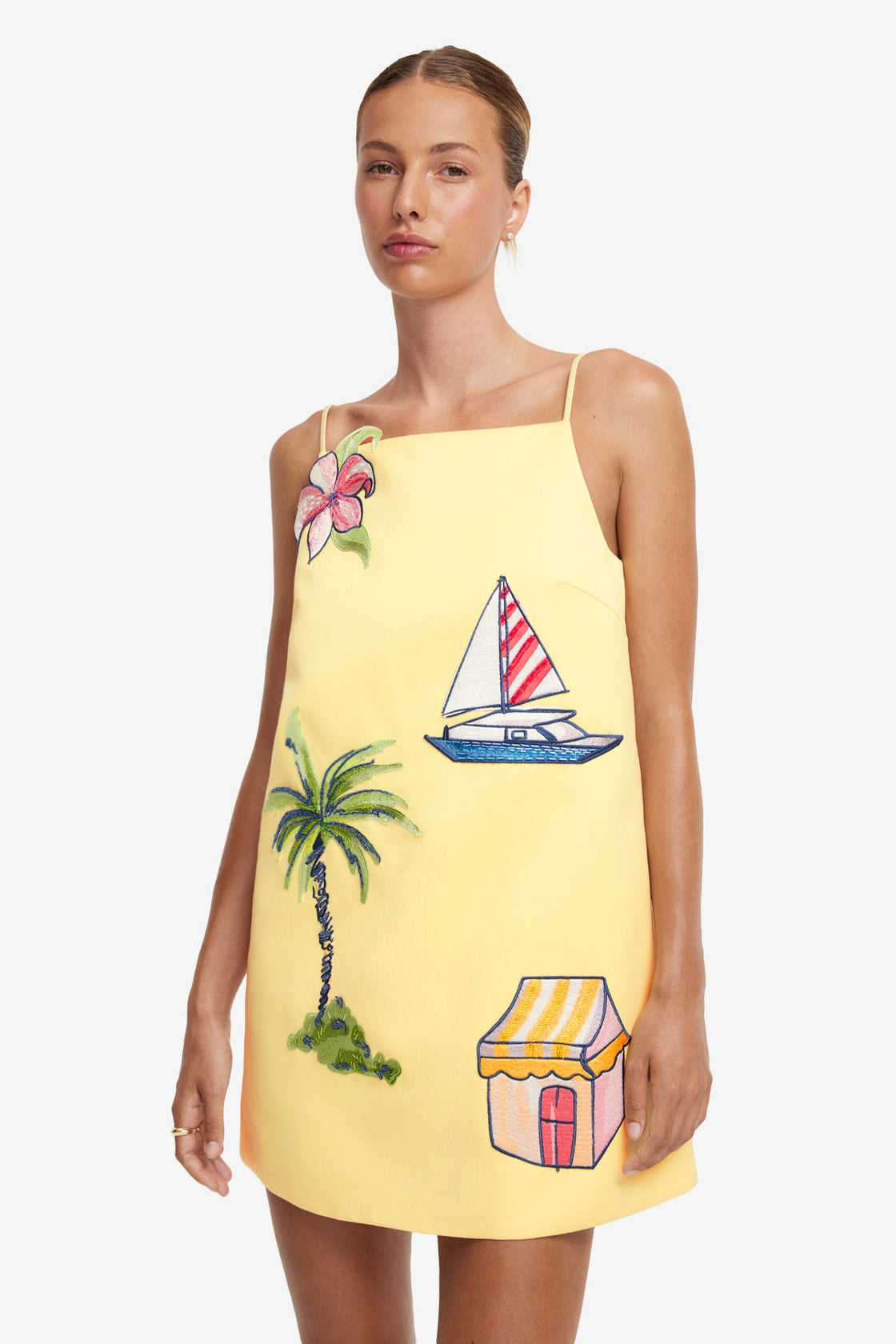 Leia Embroidered Mini Dress - Havana Print Dress Mini