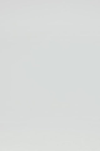 Exclusive LEO LIN Indie Sleeve Top - Hibiscus in Matcha