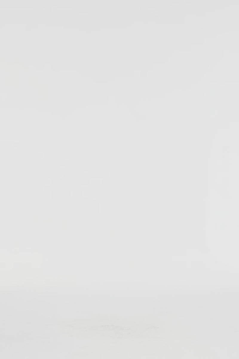 Exclusive LEO LIN Taylor Embroidered Mini Dress - Pear Print