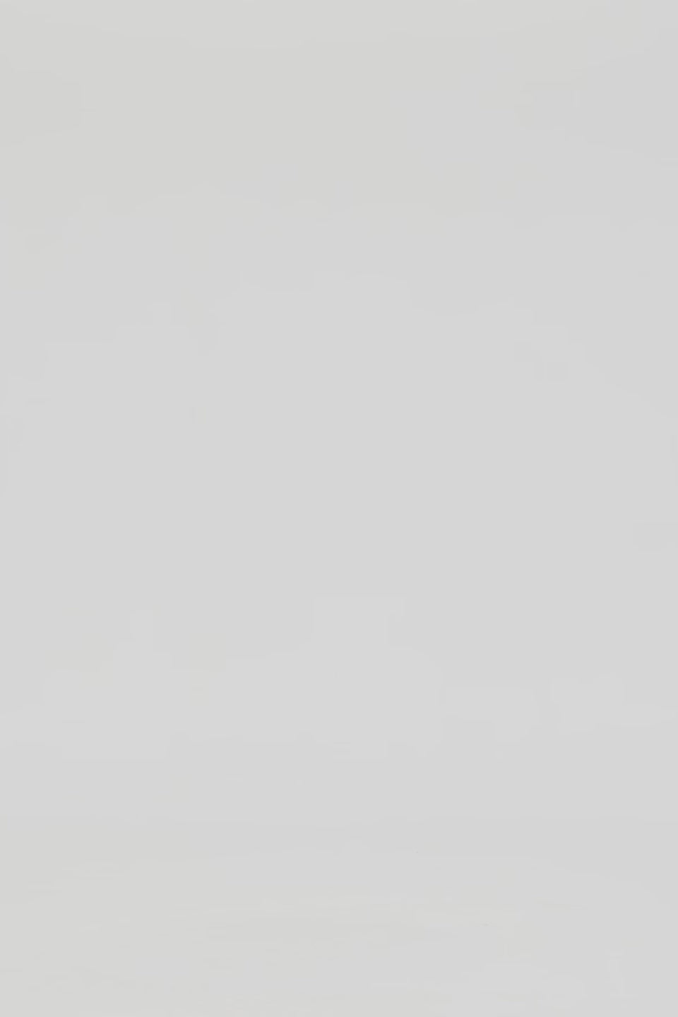 Exclusive LEO LIN Lucinda Appliqué Maxi Dress - Garnet