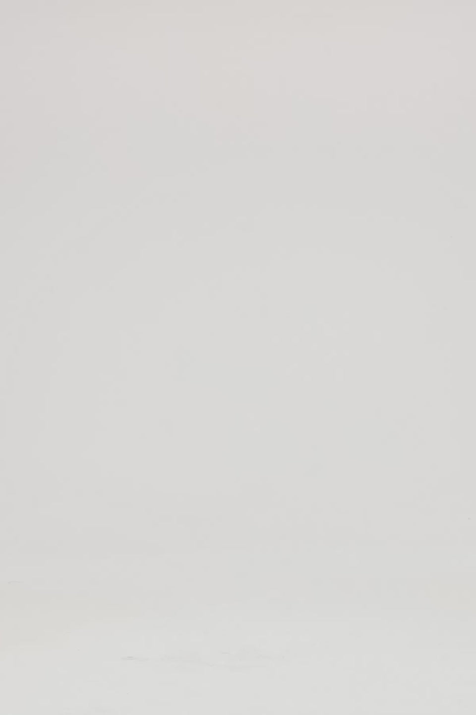 Exclusive Leo Lin Cassie Tie Neck Midi Dress - Peony Print