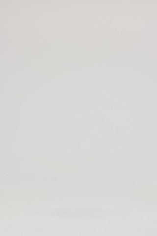 Exclusive Leo Lin Bloom Rose Bustier Top - Scarlet