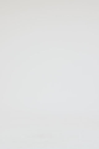 Exclusive LEO LIN Clementine Embellished Maxi Skirt - Pistachio