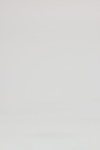 Exclusive Leo Lin Bloom Rose Mini Dress - Ebony