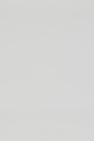 Exclusive LEO LIN Valeria Maxi Skirt - Lily Print in Parakeet