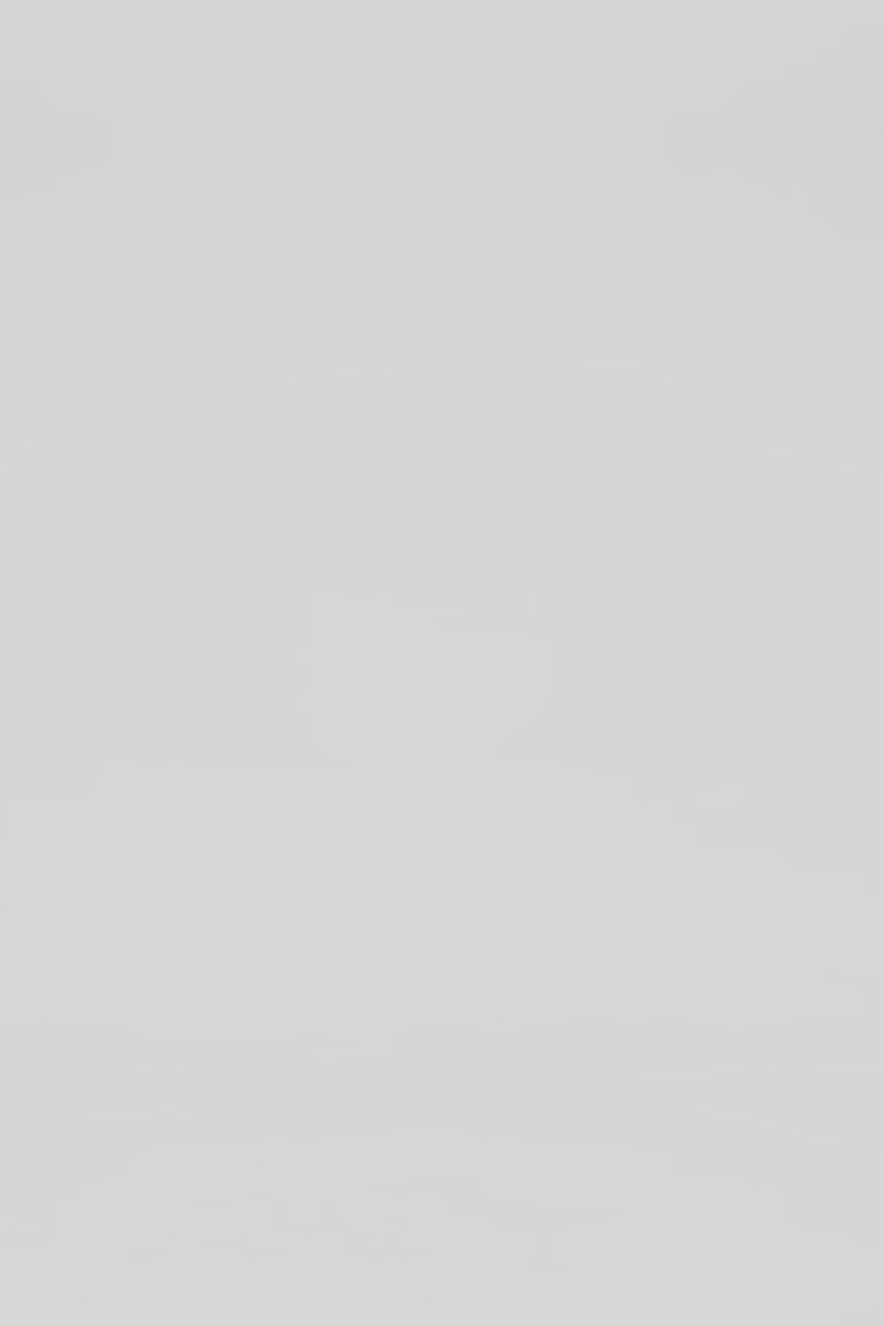 Exclusive LEO LIN Valeria Maxi Skirt - Lily Print in Parakeet