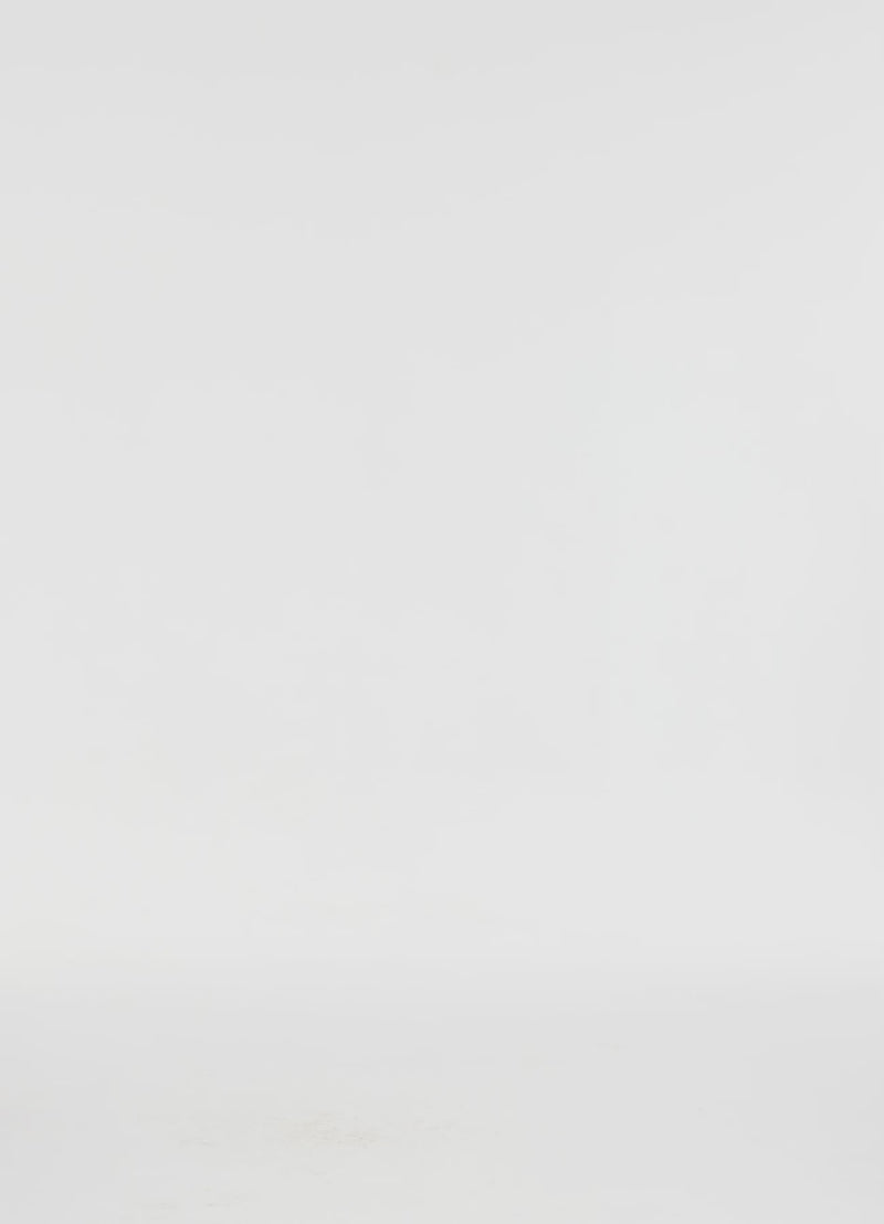 Exclusive LEO LIN Suzanne Bell Sleeve Mini Dress - Floral Pear Print