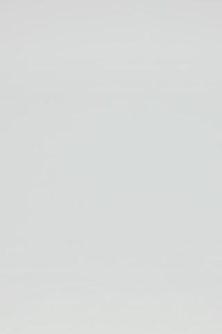 Exclusive LEO LIN Indie Appliqué Sleeve Top - Iris Print in Ebony