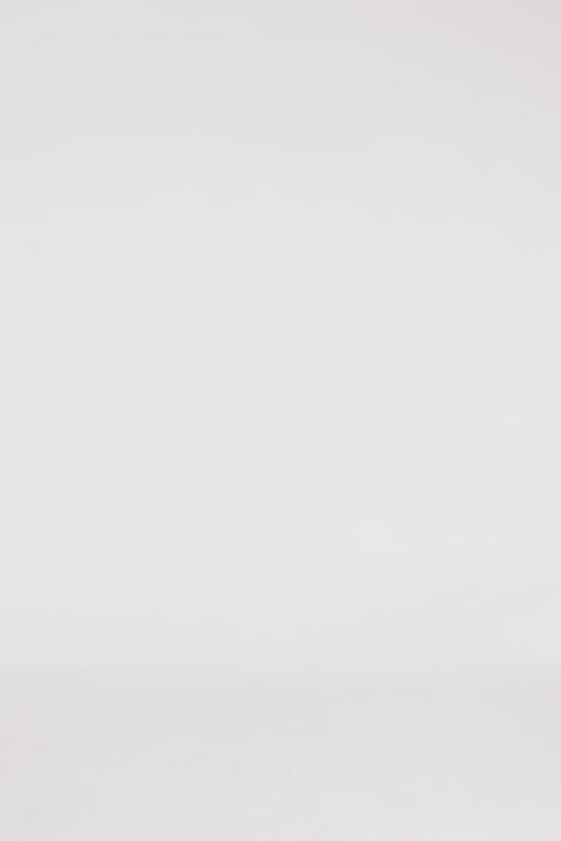 Exclusive LEO LIN Fiorella Embellished Voluminous Skirt - Wildbloom