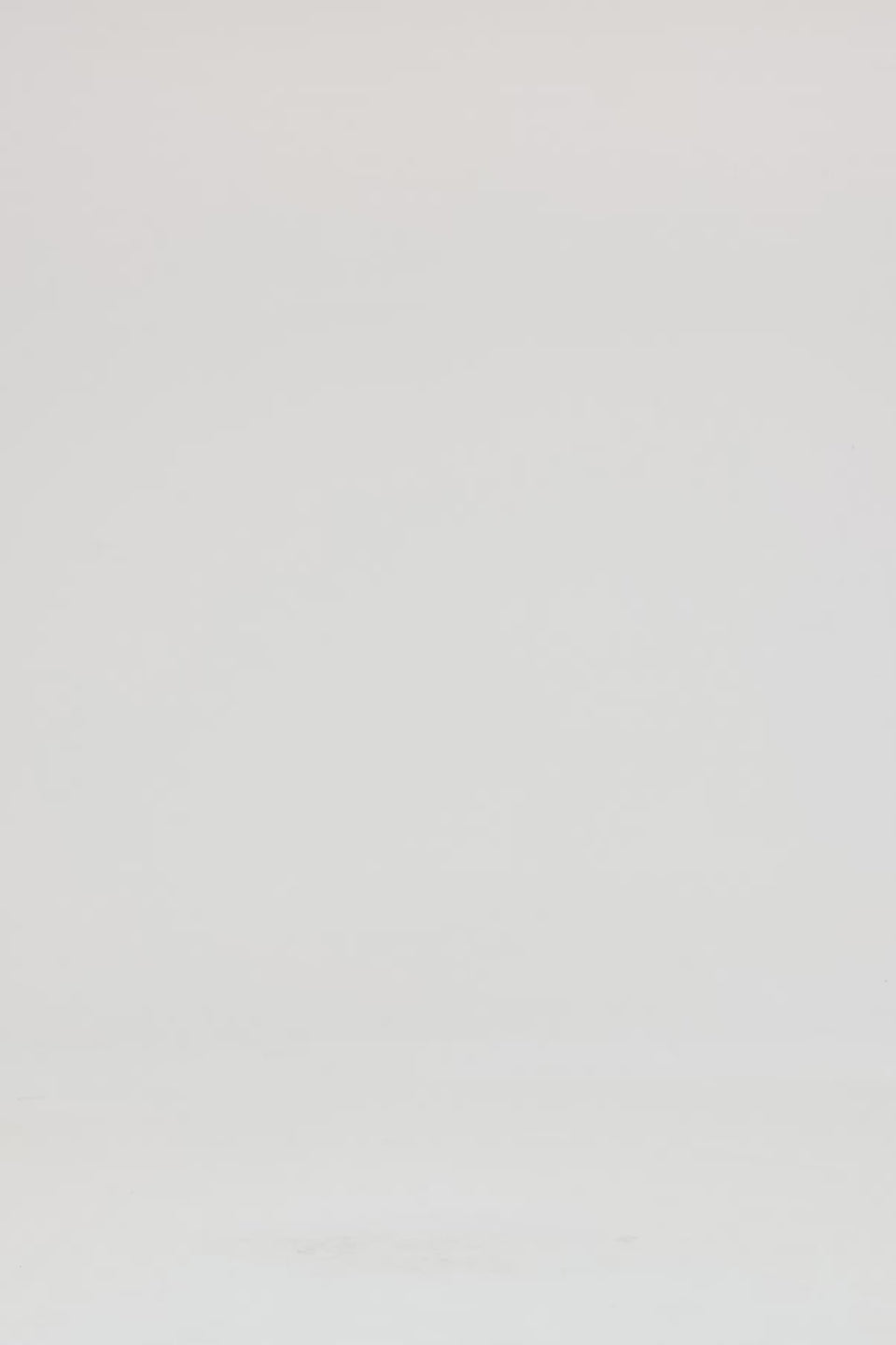 Exclusive LEO LIN Small Scarf - Peony Print