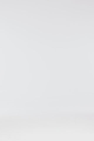 Exclusive LEO LIN Suzanne Applique Long Sleeve Mini Dress - Juniper Green