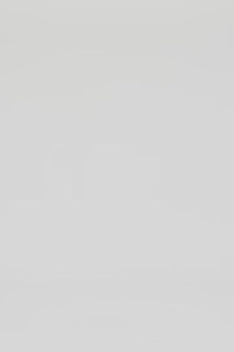 Rosario Appliqué Floral Bustier Mini Dress - Iris Print in Ebony